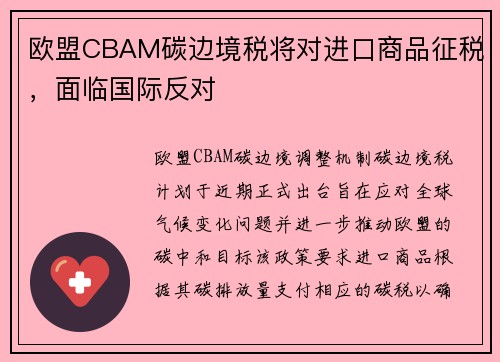 欧盟CBAM碳边境税将对进口商品征税，面临国际反对